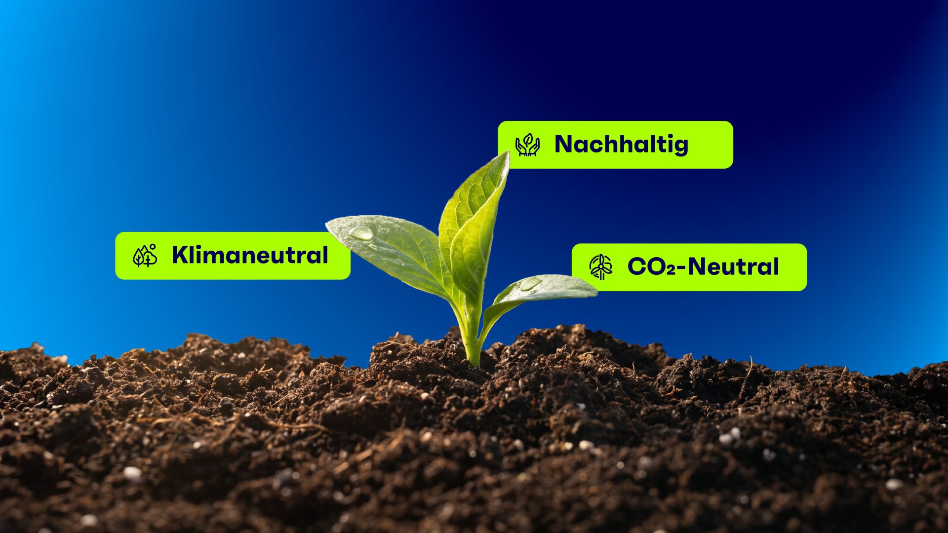 Junge Pflanze wächst aus dunkler Erde vor blauem Hintergrund; darüber stehen die Begriffe „Klimaneutral“, „Nachhaltig“ und „CO₂-Neutral“.