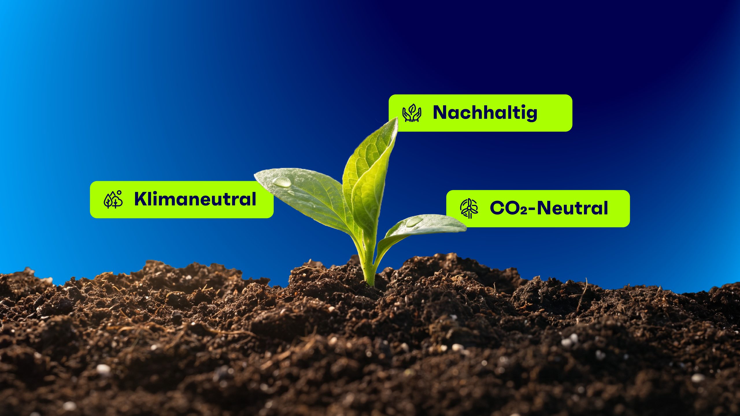 Junge Pflanze wächst aus dunkler Erde vor blauem Hintergrund; darüber stehen die Begriffe „Klimaneutral“, „Nachhaltig“ und „CO₂-Neutral“.